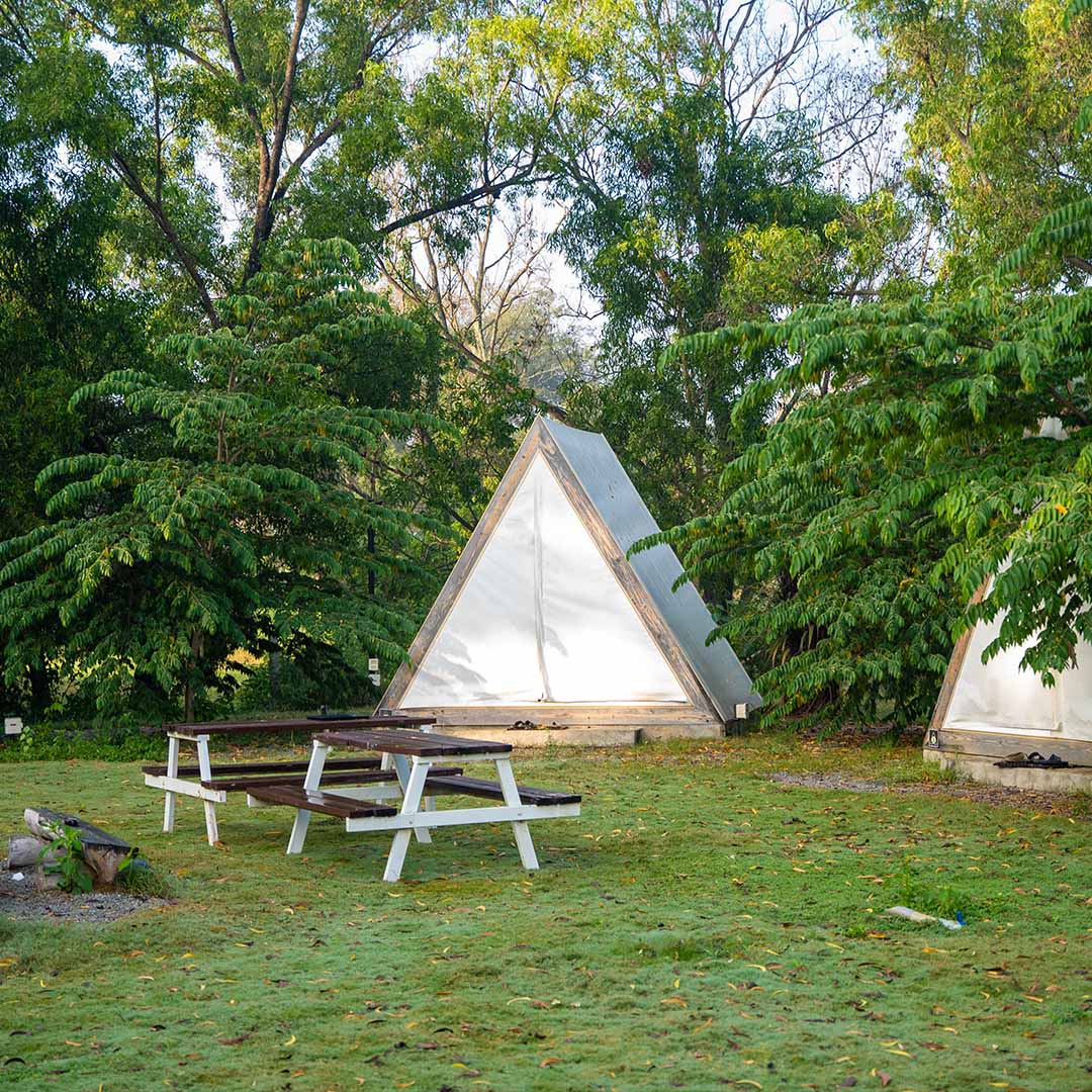 Air Frame Glamping Tent with wooden picnic table outside surrounded by lush green trees.